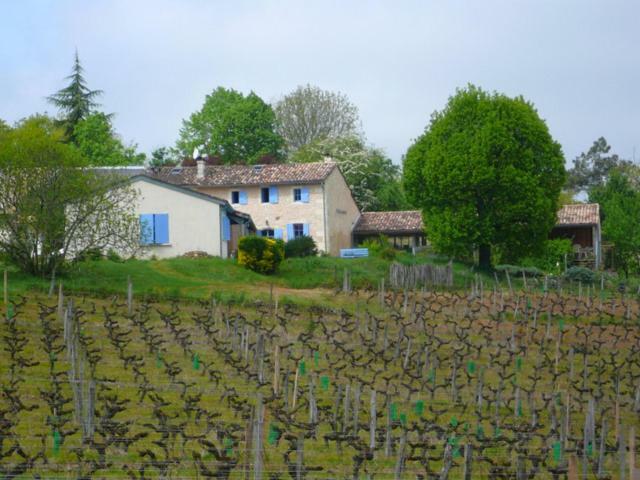 Château Régaldo-Saint Blancard Salleboeuf Exterior foto